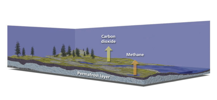 Greenhouse Gas Release from a Warming Arctic. The thawing of permafrost is one of three powerful feedbacks by which global warming amplifies itself. Greenhouse Gas Release from a Warming Arctic. The thawing of permafrost is one of three powerful feedbacks by which global warming amplifies itself.