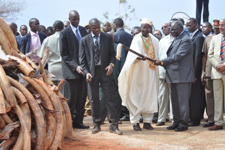 Photo of the former president Mwai Kibaki torching ivory in 2011. Photo of the former president Mwai Kibaki torching ivory in 2011.