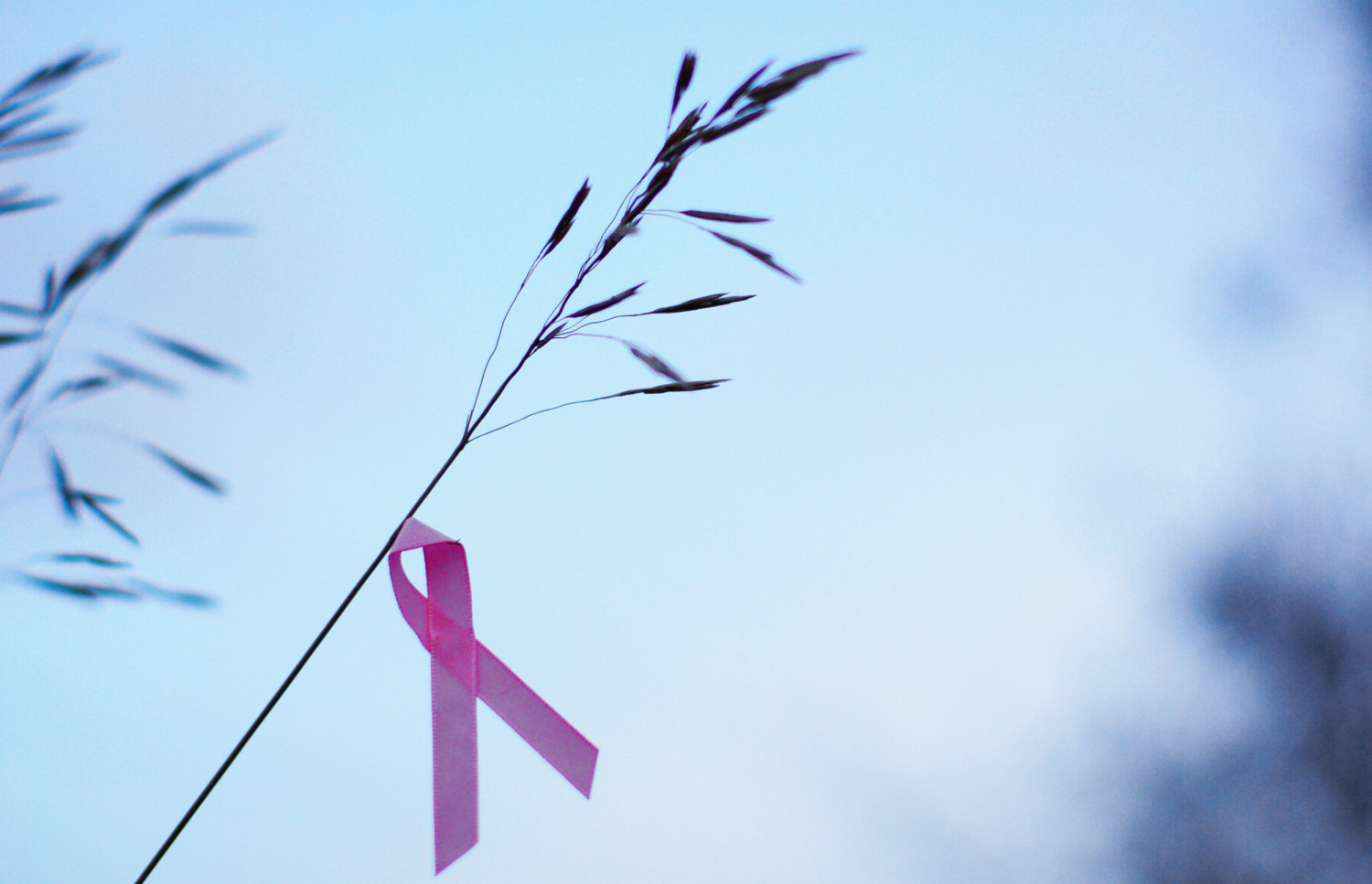 HIV ribbon HIV ribbon