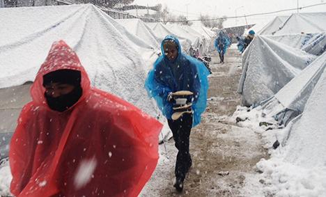 refugees refugees