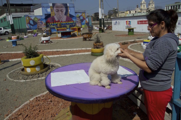 Integration Plaza. This was an empty lot until Occupy Your Street converted it in a plaza. A woman shears her dog in one of the tables of the place. Integration Plaza. This was an empty lot until Occupy Your Street converted it in a plaza. A woman shears her dog in one of the tables of the place.
