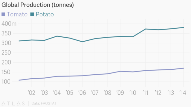 Global production of tomatoes and potatoes. Global production of tomatoes and potatoes.