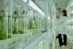 gene testing gene testing