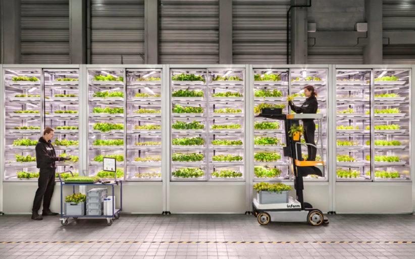 indoor-farming