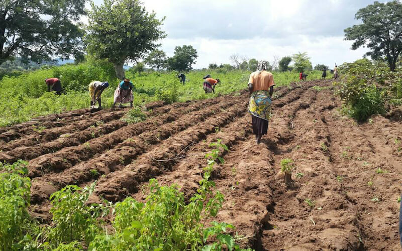 world-soil-day