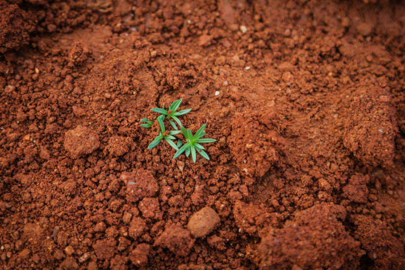 soil-day-fairplanet