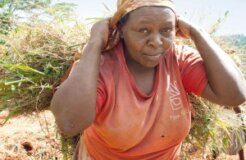 Lucy-Wanjiru_Blog1-300x250