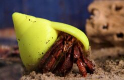 393838_185104751589482_135248786575079_240363_1021681943_n