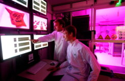 Scientists Hope To Grow Salad In Space Scientists Hope To Grow Salad In Space