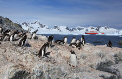 6122974902_026f92af17 6122974902_026f92af17