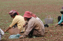 77274801_39326f9b0d_z