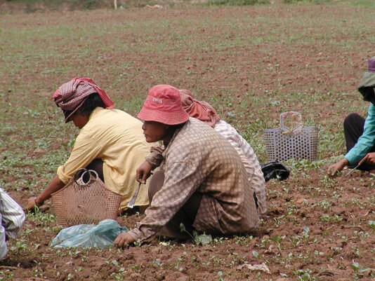 77274801_39326f9b0d_z