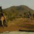 sudanese forces