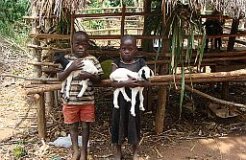 Ziegenprojekt_klein Ziegenprojekt_klein