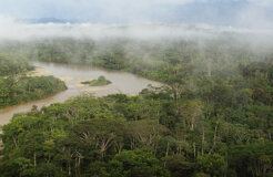 6012358492_0de4db1123