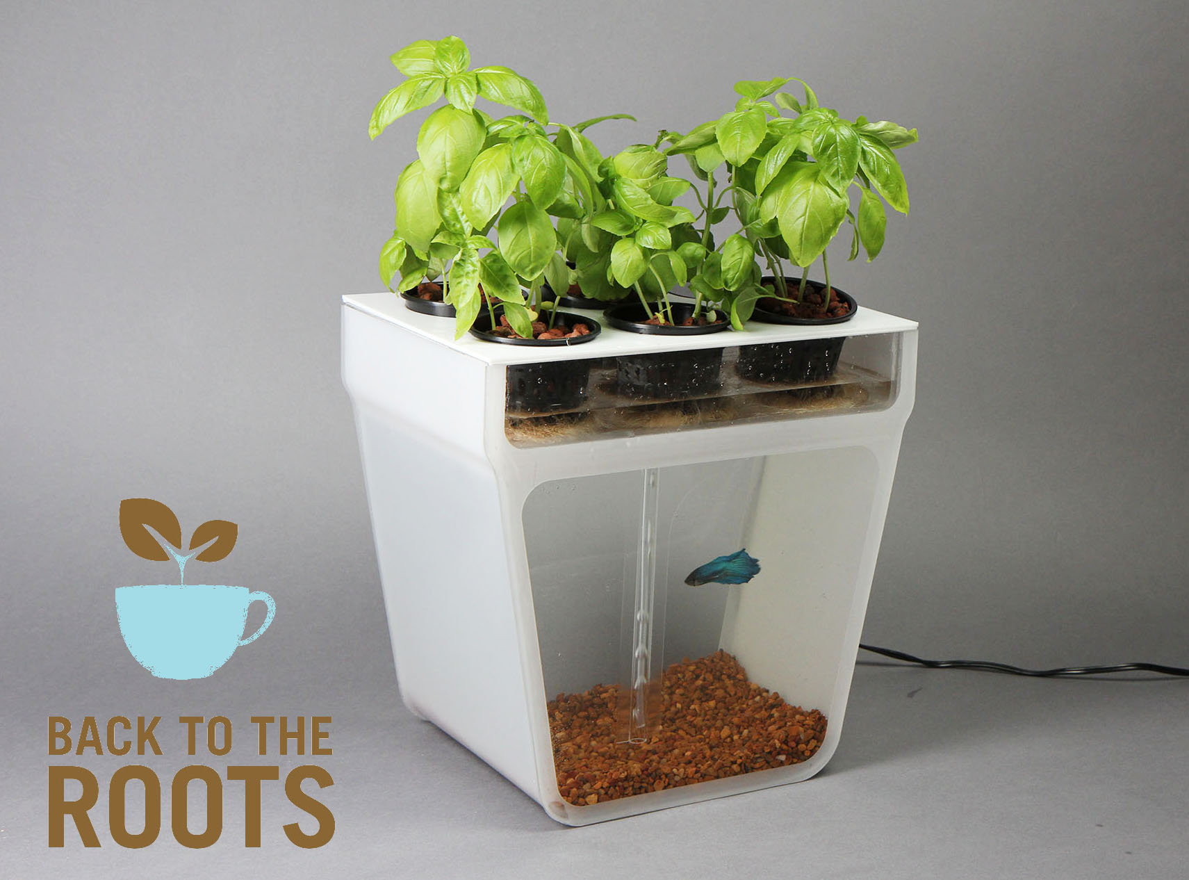 BTTRaquaponicsprototypeJPG-1353555734