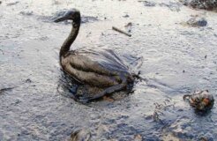 Screen Shot 2013-04-08 at 1.08.39 AM Screen Shot 2013-04-08 at 1.08.39 AM