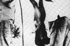 Brazilian Attrocities Brazilian Attrocities