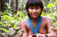 braz-yano-fw-2010-192-final_article_column braz-yano-fw-2010-192-final_article_column