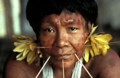 braz-yano-ve-004_article_column braz-yano-ve-004_article_column