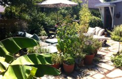 Angela-Davis-Patio.png.644x0_q100_crop-smart