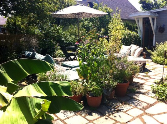 Angela-Davis-Patio.png.644x0_q100_crop-smart