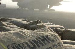 398px-UNHCR_DADAAB_REGION,_KENYA_AFRICA_DOD_2006