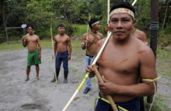TO GO WITH AFP STORY  - Ecuadorean Waora