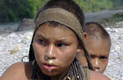 Uncontacted Nanti could be decimated by plans to detonate thousands of explosive charges and allow hundreds of workers to flood onto their land. © Anon Uncontacted Nanti could be decimated by plans to detonate thousands of explosive charges and allow hundreds of workers to flood onto their land. © Anon