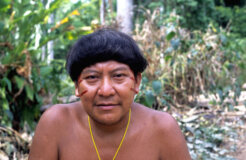 illegal gold mining illegal gold mining