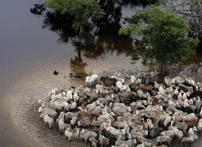 climate change poses risks to food security climate change poses risks to food security