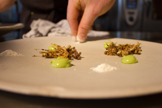 NFL INSECTS WEEK 3-9899