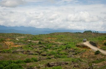 8150208448_1387069ec1_k