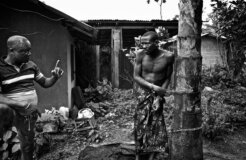 robin hammond robin hammond