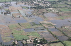 Aerial view of flooding, Pakistan 2010