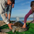 Voluntourism-Sea-Turtles-people-Mexico-Latin-America