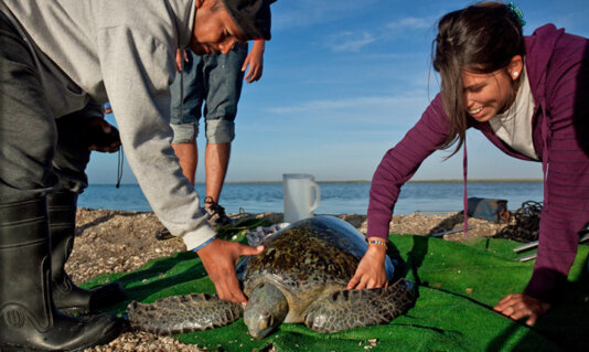 Voluntourism-Sea-Turtles-people-Mexico-Latin-America