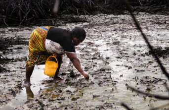 Cecilia Teela used to collect periwinkles in Bodo Cecilia Teela used to collect periwinkles in Bodo