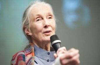 jane godall jane godall