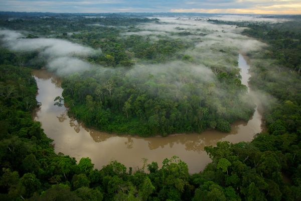 yasuni-national-park-ecuador