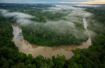 yasuni-national-park-ecuador