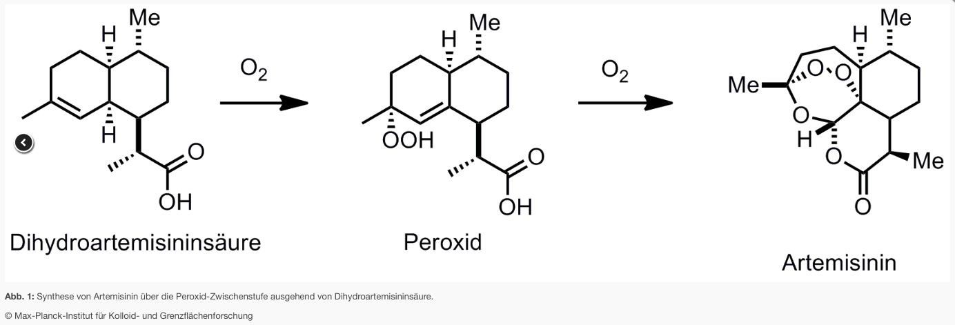 synthese von artemisinin