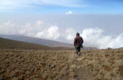 Babessi,-bush-burns-and-forest-cuts-have-rendered-the-place-more-exposed-to-climate-change