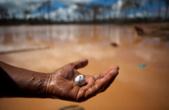 gold-panners gold-panners