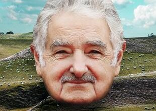 mujica illustration mujica illustration