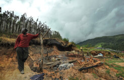 displacement world bank