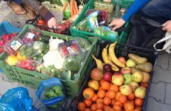 crop_0_528_54956e165e024 crop_0_528_54956e165e024