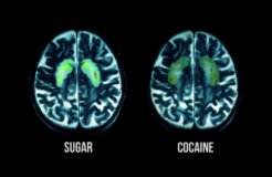 sugar cocaine_fed up sugar cocaine_fed up