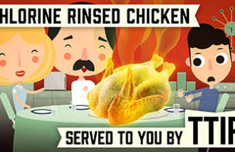 Chicken LANDSCAPE Chicken LANDSCAPE