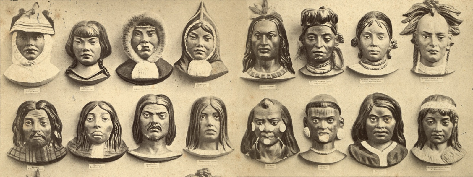 Karl_Ernst_von_Baer_Types_Principaux_des_Differents_Race_Humaines Kopie